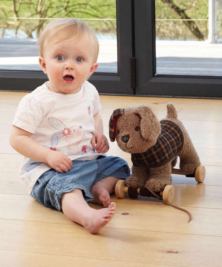 Little Bird Told Me Percy Pup 2 in 1 Pull Along and Cuddle Toy 6m+