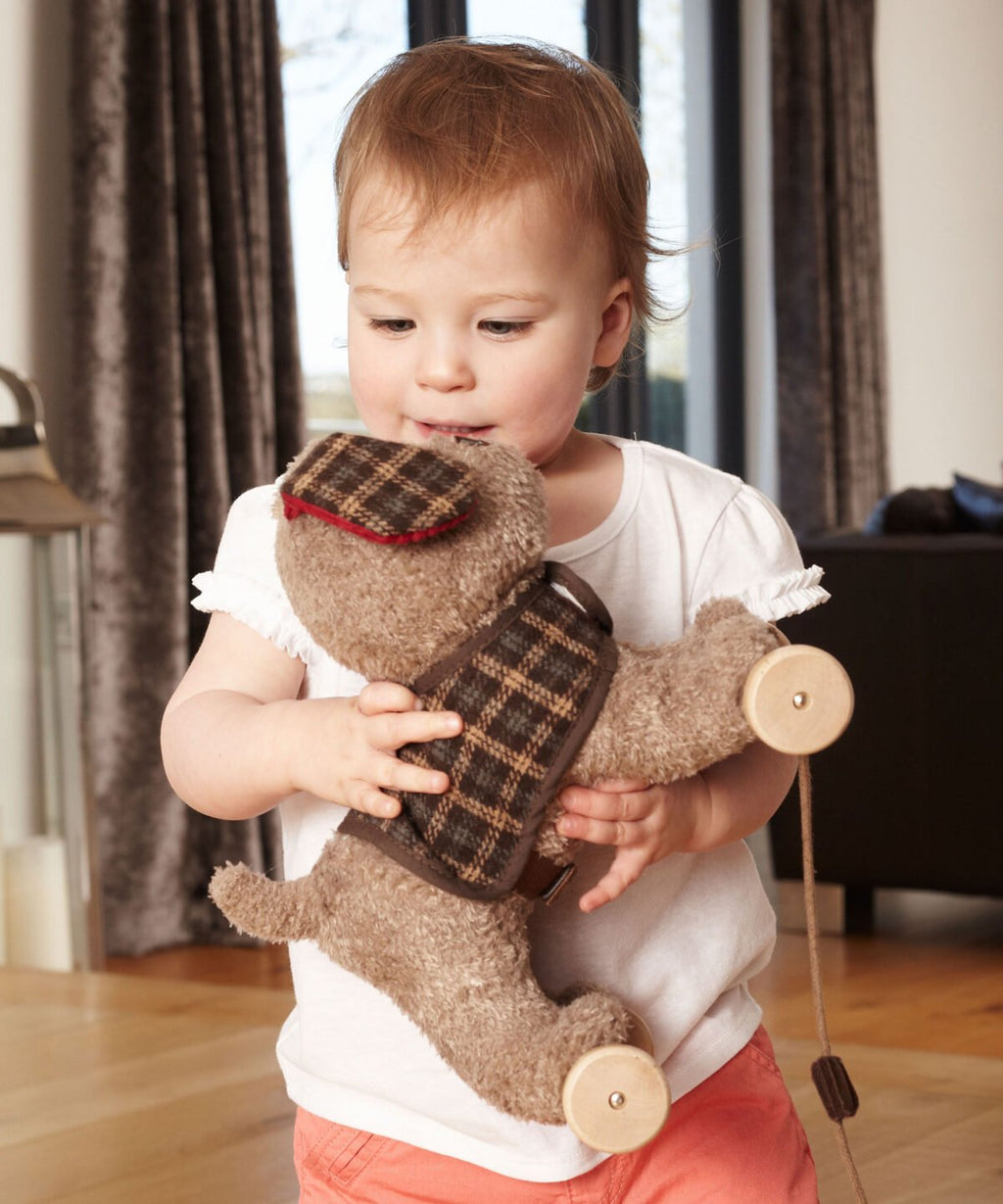 Little Bird Told Me Percy Pup 2 in 1 Pull Along and Cuddle Toy 6m+