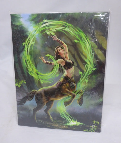 Anne Stokes Earth Element Sorceress Canvas Box Frame Wall Art 19 x 25cm