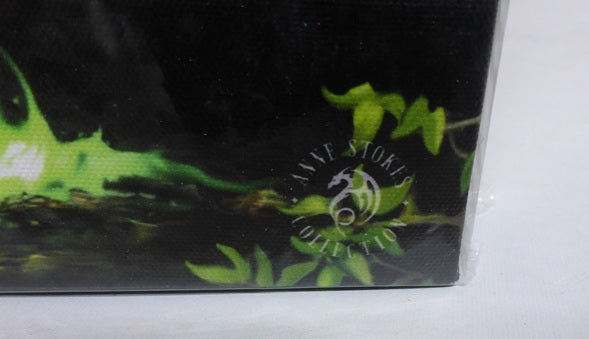 Anne Stokes Earth Element Wizard Canvas Box Frame Wall Art 19 x 25cm