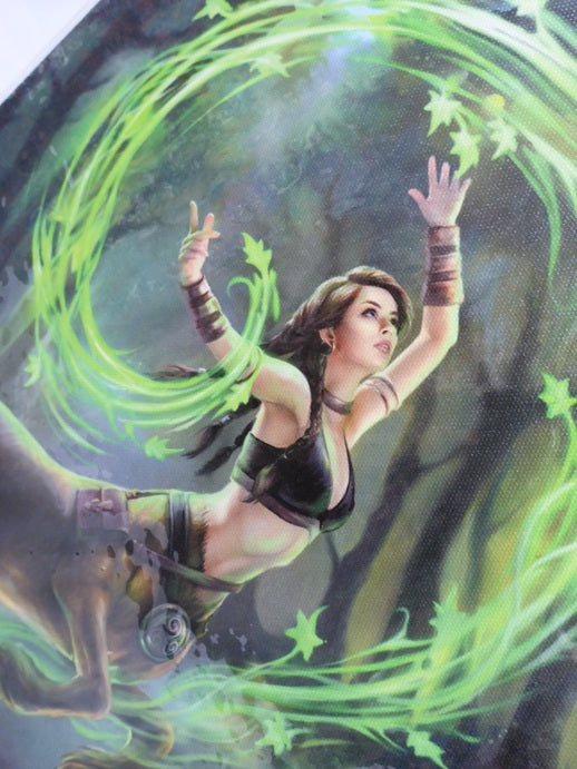 Anne Stokes Earth Element Sorceress Canvas Box Frame Wall Art 19 x 25cm