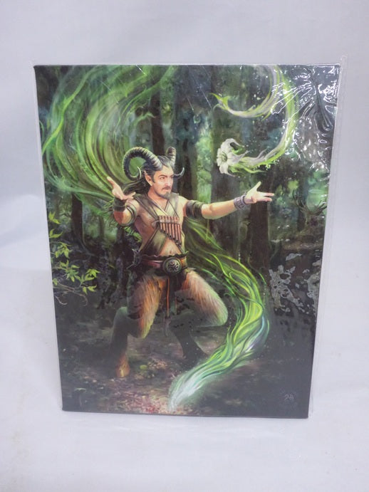 Anne Stokes Earth Element Wizard Canvas Box Frame Wall Art 19 x 25cm