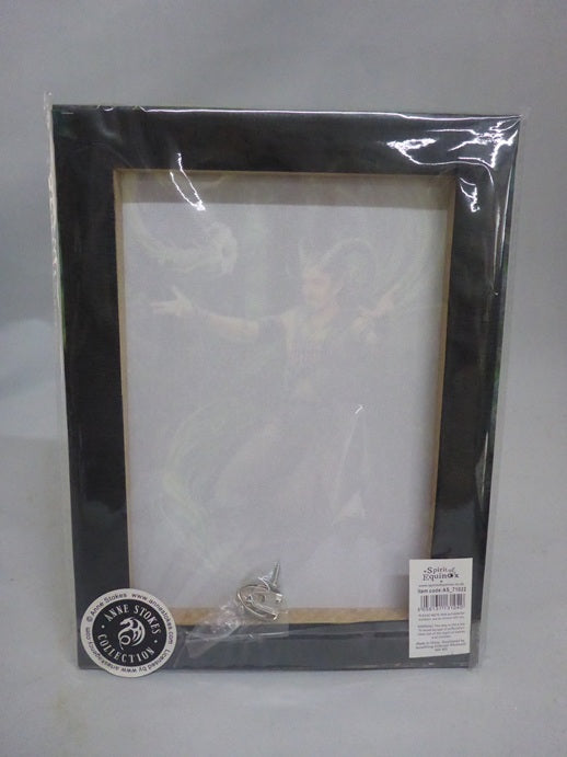 Anne Stokes Earth Element Wizard Canvas Box Frame Wall Art 19 x 25cm