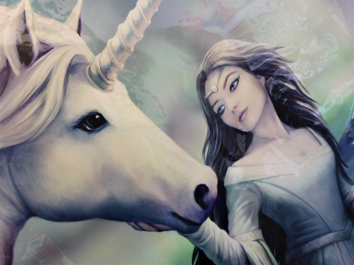 Anne Stokes North Star Unicorn Canvas Box Frame Wall Art 50 x 70cm