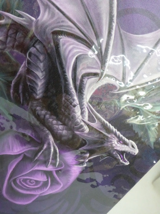 Anne Stokes Dragon Beauty Canvas Box Frame Wall Art 19 x 25cm | Spirit of Equinox