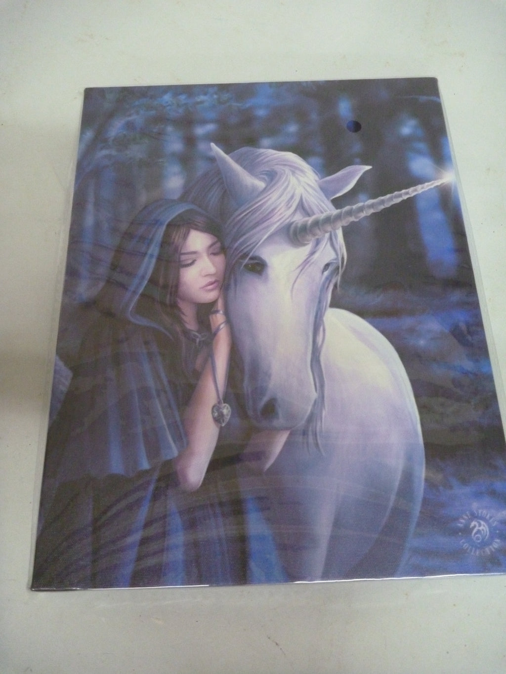 Anne Stokes Solace Unicorn Gothic Canvas Box Frame Wall Art 19 x 25cm