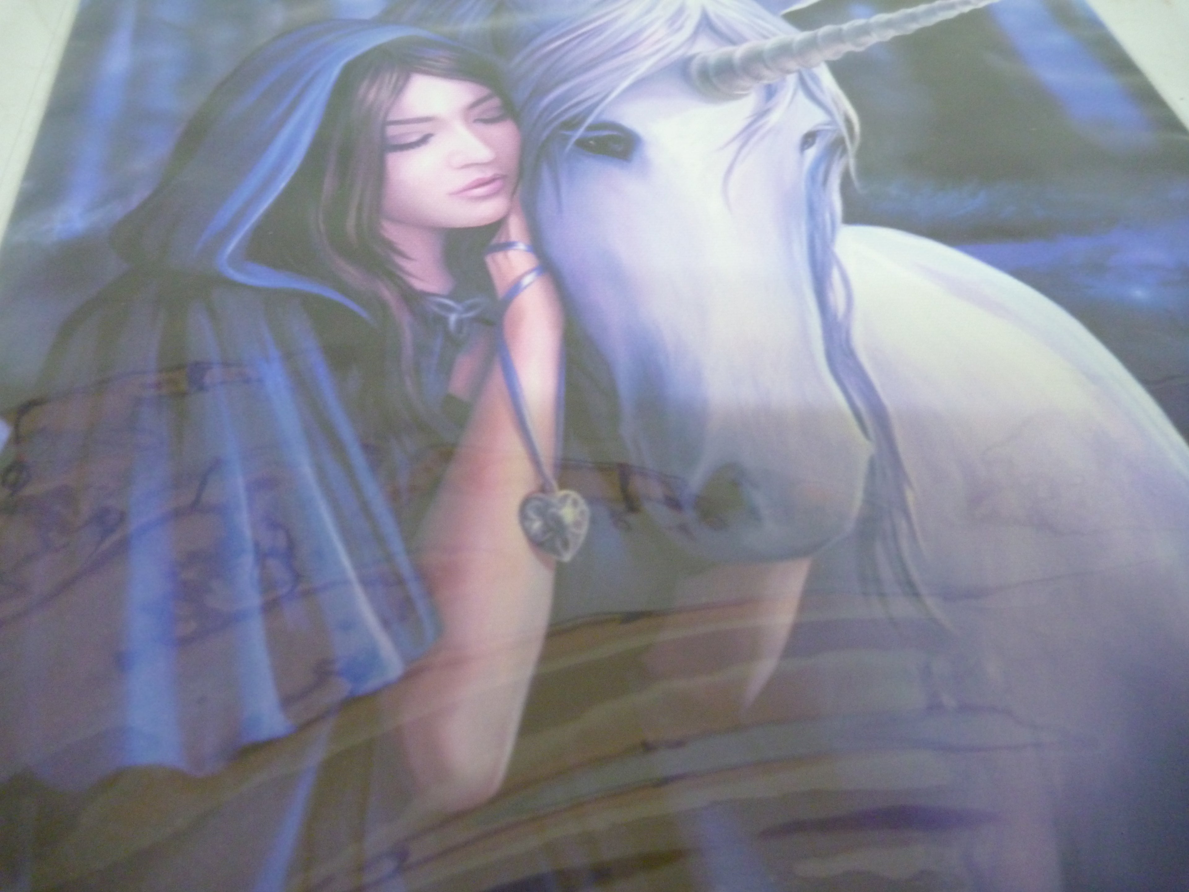Anne Stokes Solace Unicorn Gothic Canvas Box Frame Wall Art 19 x 25cm