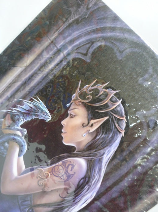 Anne Stokes Water Dragon Canvas Box Frame Wall Art 19 x 25cm | Spirit of Equinox