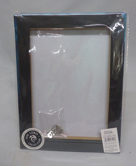 Anne Stokes Water Element Wizard Canvas Box Frame Wall Art 19 x 25cm