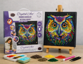 Craft Buddy Crystal Diamond Art Canvas Kit Nocturnal Wonder Owl 30 x 30cm