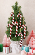 Sass & Belle Glass Candy Cane Christmas Tree Decorations - Set of 6