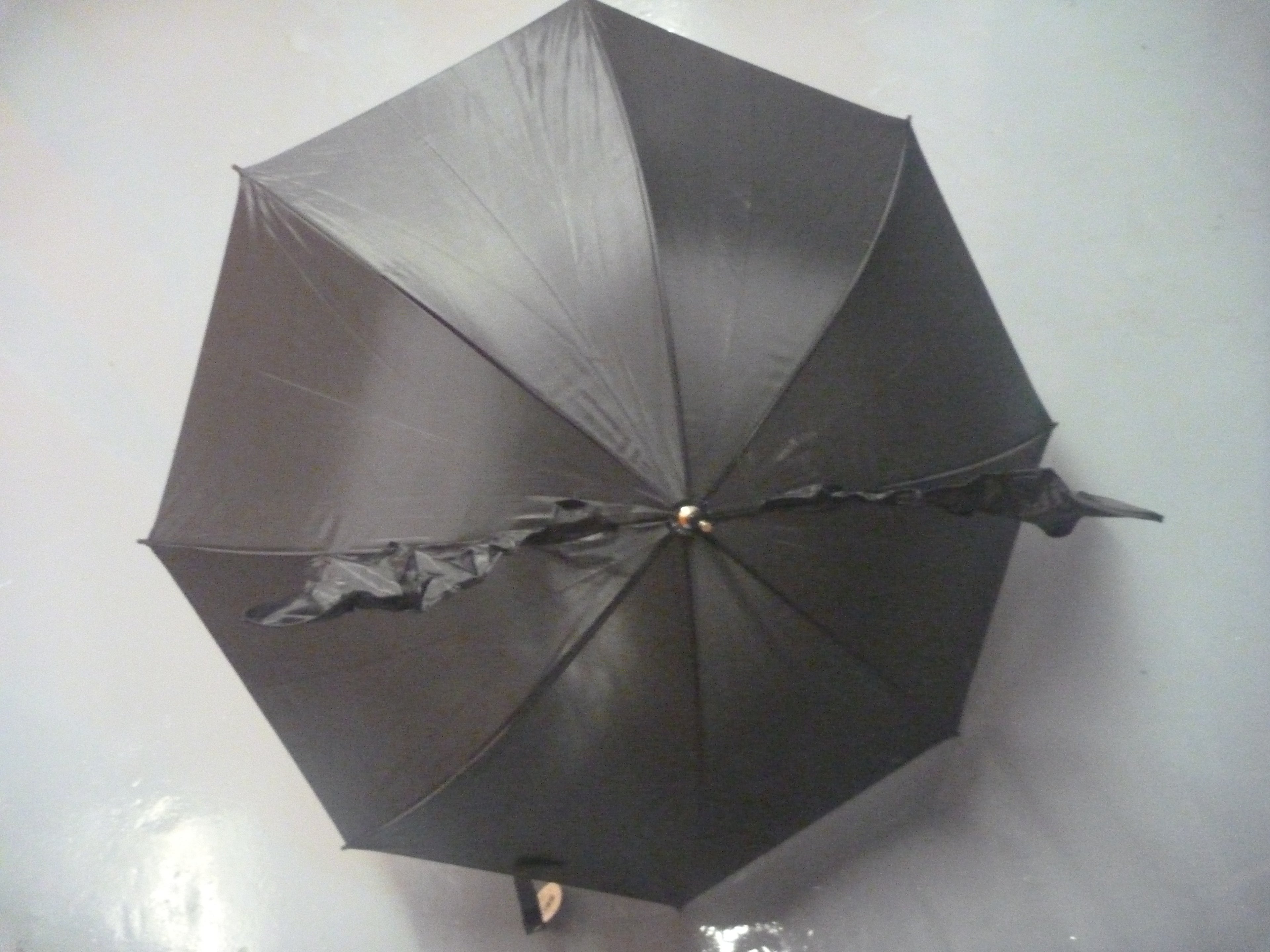 Gothic 3D Bat Wings Stick Umbrella | Black | Something Different