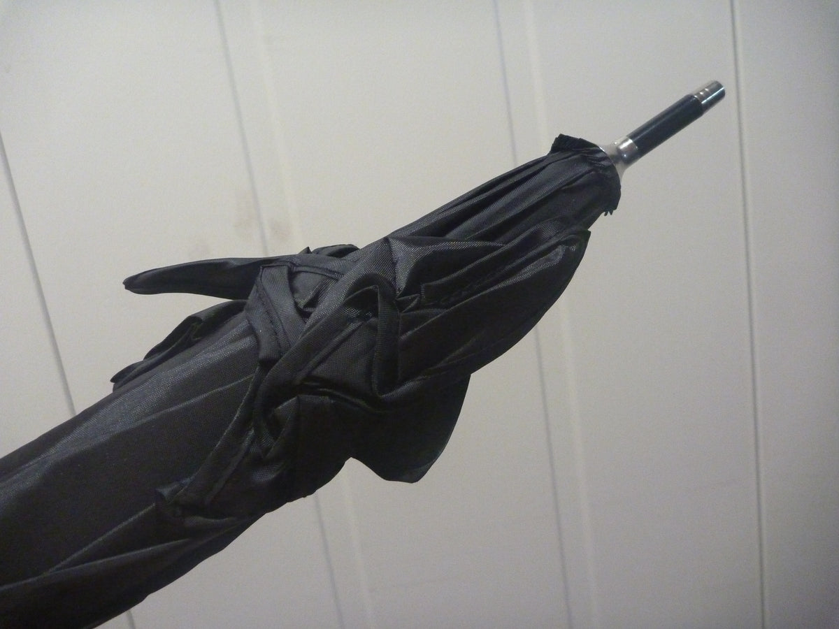 Gothic 3D Bat Wings Stick Umbrella | Black | Something Different