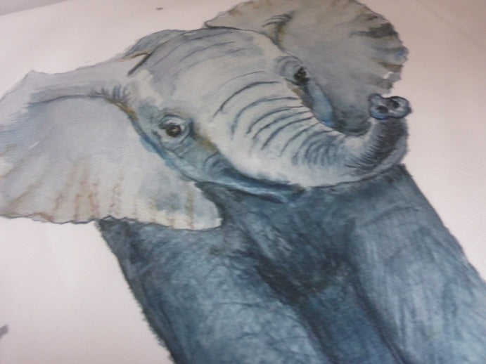 Black Ginger x Kat Jackson Elephant Cushion Cover - 40x40cm Velvet Art Print