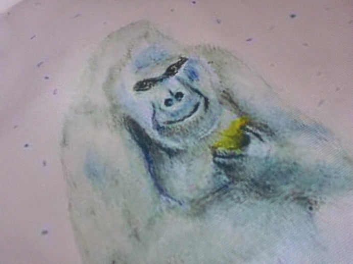 Black Ginger x Kat Jackson Gorilla Cushion Cover - 40x40cm Velvet Art Print