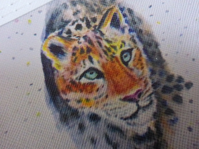 Black Ginger Kat Jackson Leopard Coin Purse