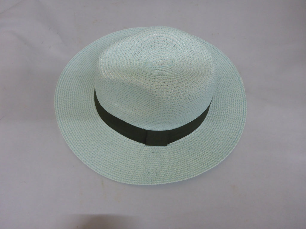 Black Ginger Panama Hat Foldable Roll Up + Travel Bag - Mint Green