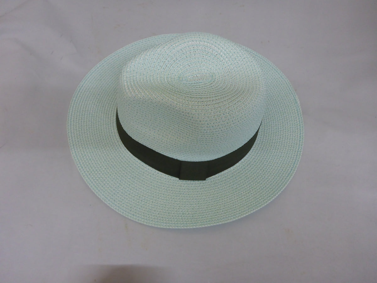 Black Ginger Panama Hat Foldable Roll Up + Travel Bag - Mint Green
