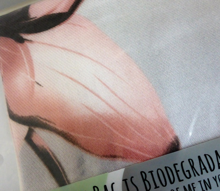 Black Ginger Magnolia Pashmina Style Scarf Grey & Pink 180cm x 70cm