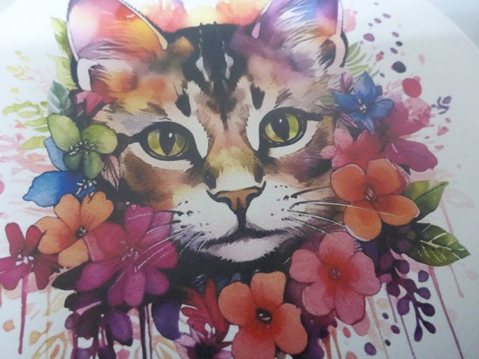 Kozzy Rainbow Animal Ceramic Coasters Set of 4 | Watercolour Kitten Pink & Orange
