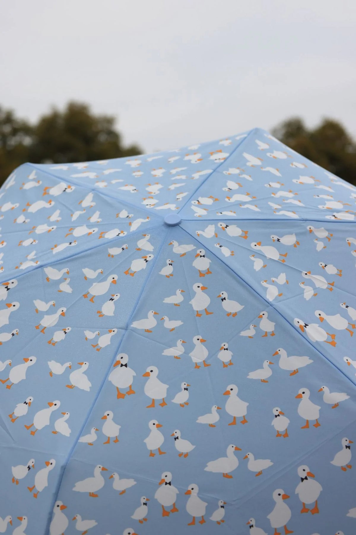 Fulton Curio Blue Duck Print Compact Umbrella with Wooden Duck Head Handle