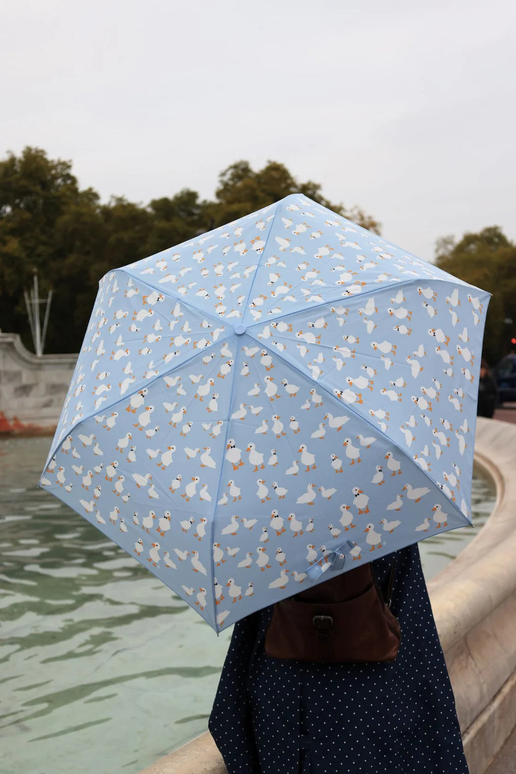 Fulton Curio Blue Duck Print Compact Umbrella with Wooden Duck Head Handle