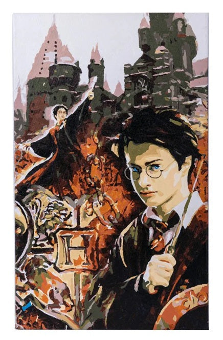 Craft Buddy Harry Potter Collage Paint By Numbers Canvas Kit 30 x 50cm (Damaged Packaging)