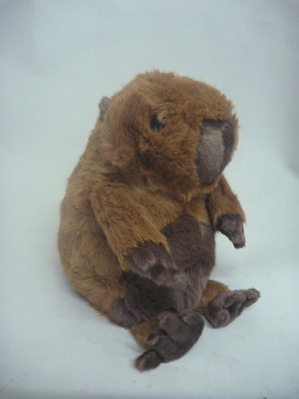 Jomanda Capybara Medium Soft Plush Toy - 20cm