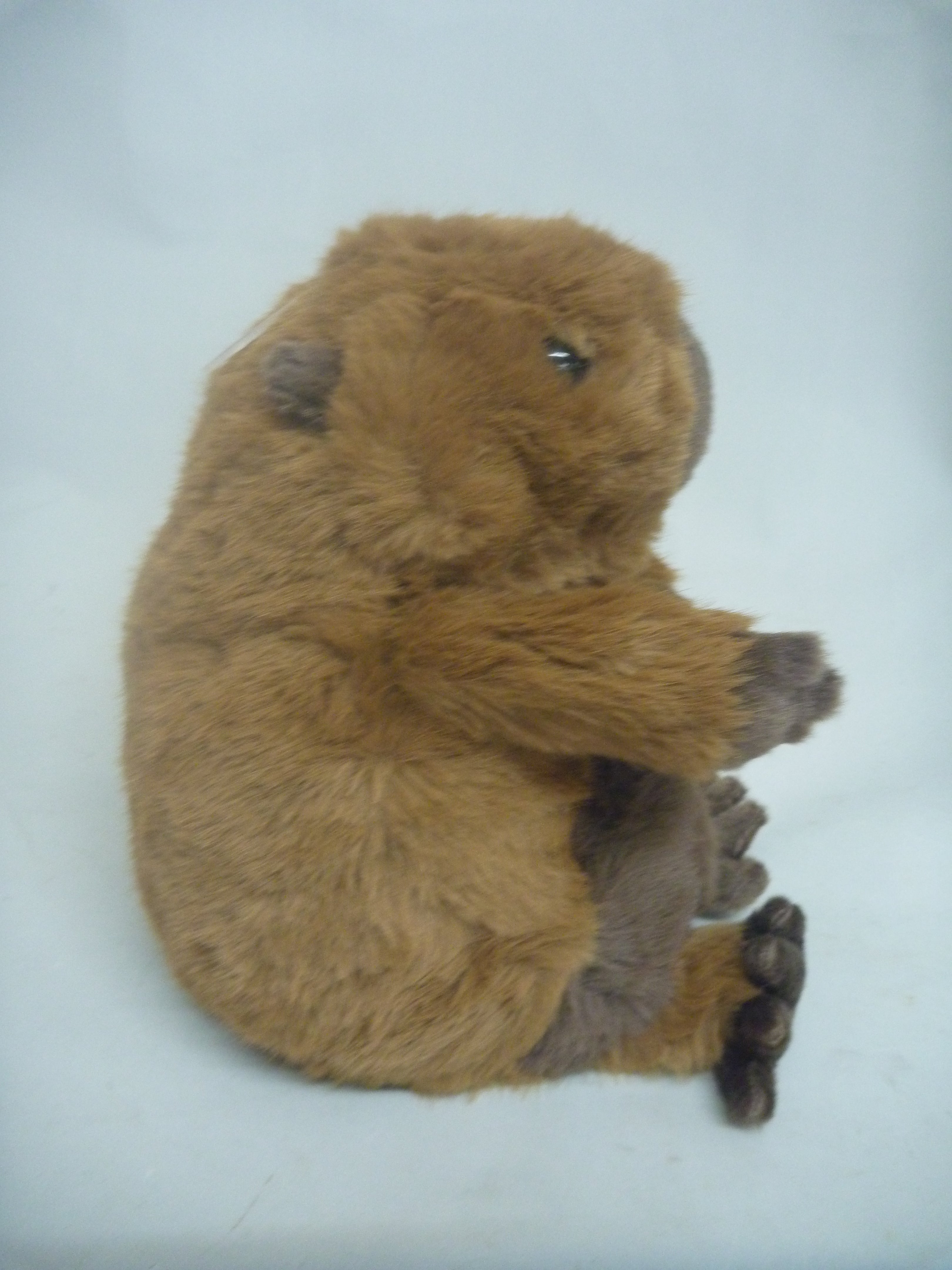 Jomanda Capybara Medium Soft Plush Toy - 20cm