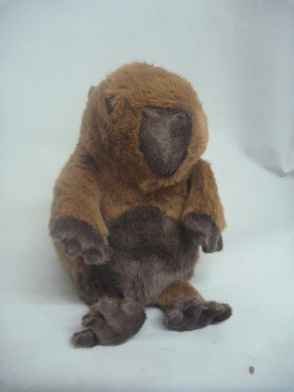 Jomanda Capybara Medium Soft Plush Toy - 20cm