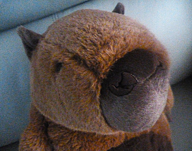 Jomanda Capybara Large Soft Plush Toy - 40cm