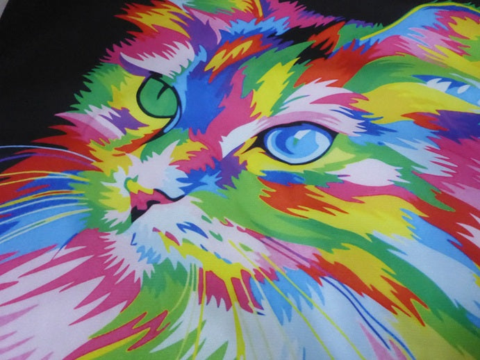 Kozzy Rainbow Cat Velvet Cushion Cover 45cm x 45cm