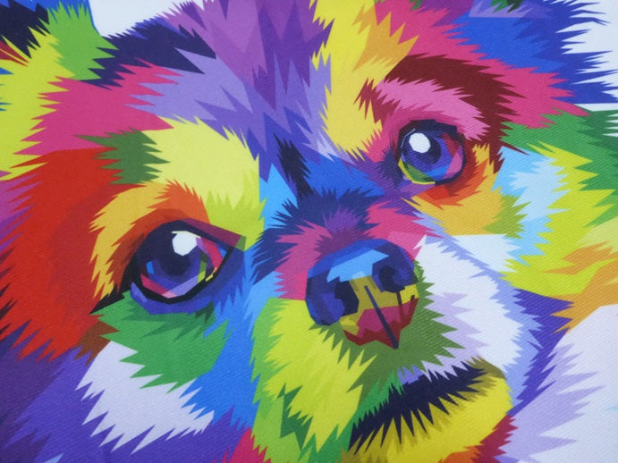 Kozzy Throw Cushion Cover 45 x 45cm - Rainbow Dog Long-Haired Chihuahua