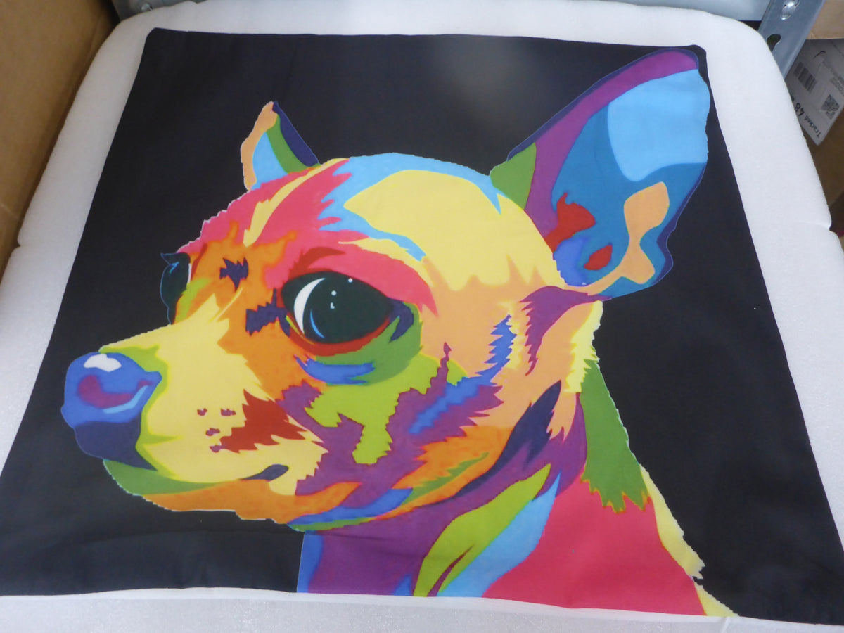 Kozzy Throw Black Cushion Cover 45 x 45cm - Rainbow Dog Short Hair Chihuahua