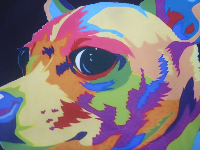 Kozzy Throw Black Cushion Cover 45 x 45cm - Rainbow Dog Short Hair Chihuahua