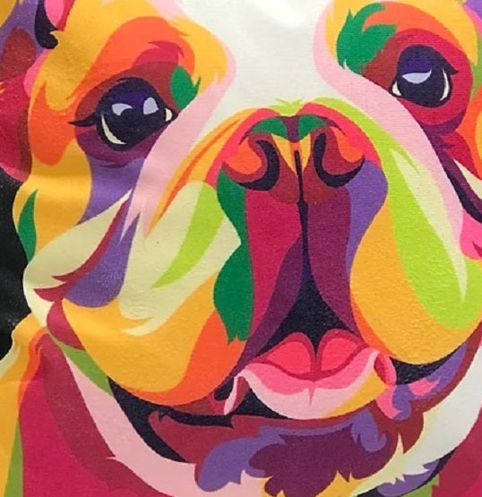 Kozzy Rainbow Dog English Bulldog Velvet Cushion Cover 45cm x 45cm