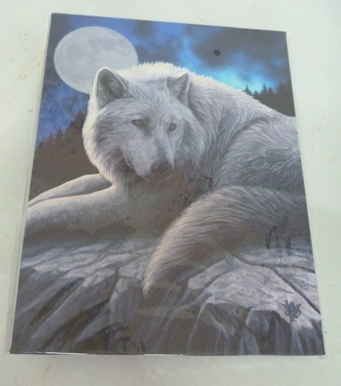 Lisa Parker Guardian of the North Canvas Box Frame Wall Art 19 x 25cm | Spirit of Equinox (Copy)