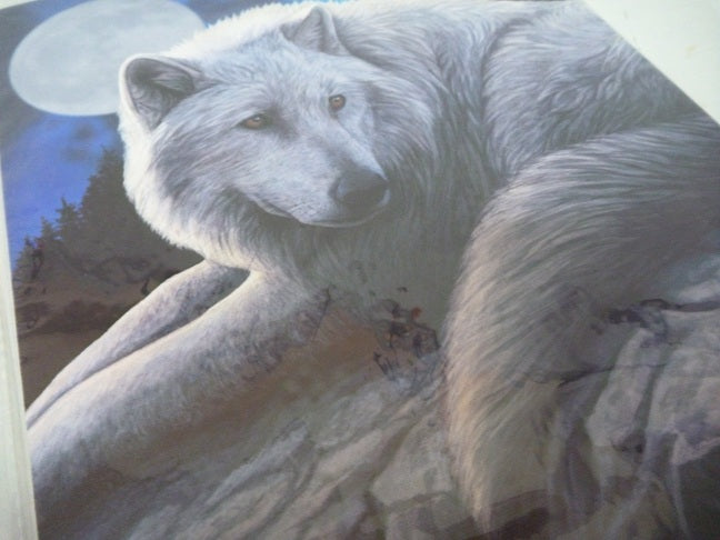 Lisa Parker Guardian of the North Canvas Box Frame Wall Art 19 x 25cm | Spirit of Equinox (Copy)
