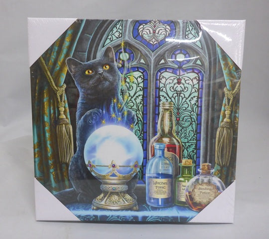 Spirit of Equinox Lisa Parker Witches Apprentice LED Light Up Canvas Box Frame 30x30cm (Copy)
