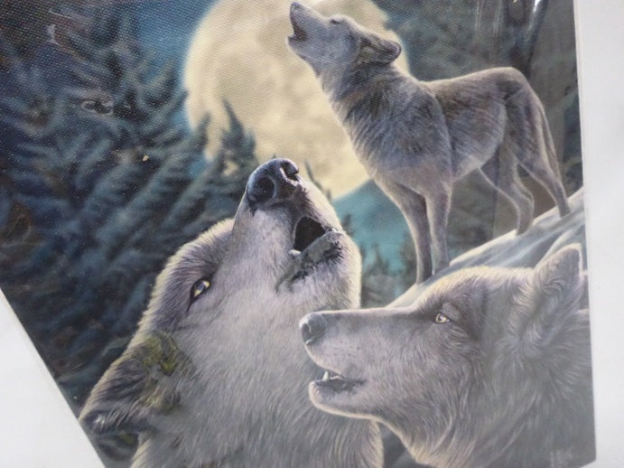 Lisa Parker Wolf Song Canvas Box Frame Wall Art 19 x 25cm