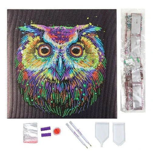 Craft Buddy Crystal Diamond Art Canvas Kit Nocturnal Wonder Owl 30 x 30cm
