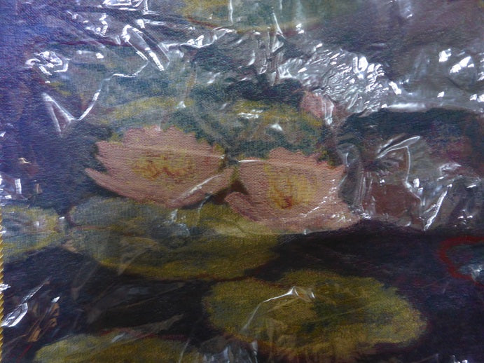 Signare Throw Cushion Cover 45 x 45cm - Monet Water Lily