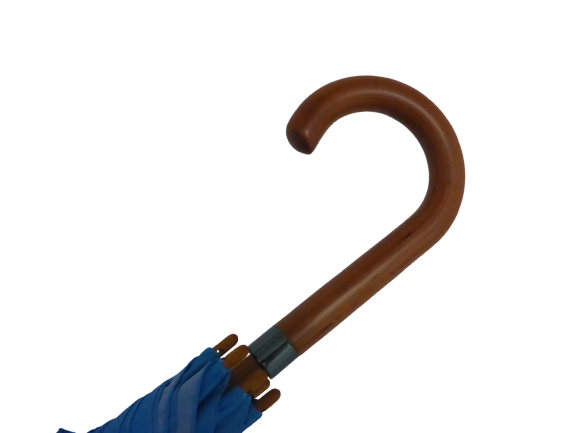 Soake Emily Smith Art Walking Stick Umbrella Flossy and Amber Flamingo