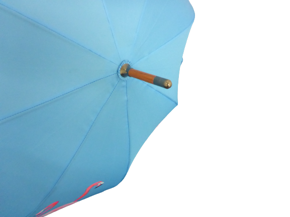 Soake Emily Smith Art Walking Stick Umbrella Flossy and Amber Flamingo