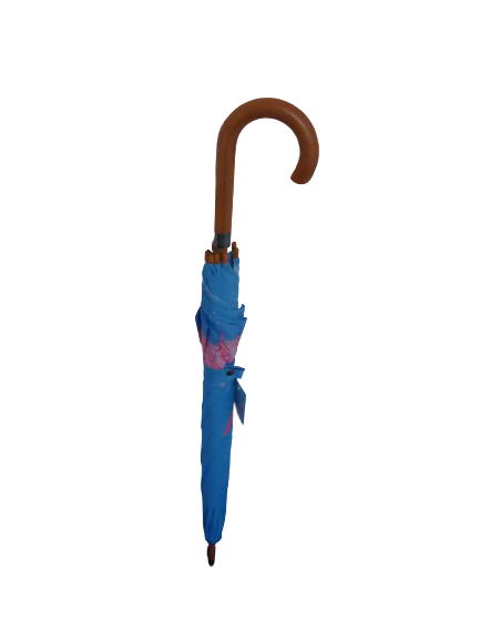 Soake Emily Smith Art Walking Stick Umbrella Flossy and Amber Flamingo