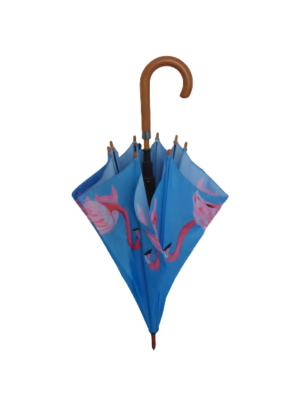 Soake Emily Smith Art Walking Stick Umbrella Flossy and Amber Flamingo