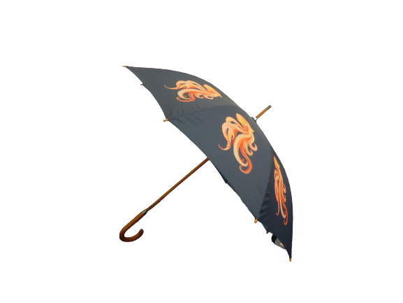 Soake Emily Smith Art Walking Stick Umbrella Oscar the Octopus