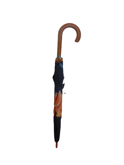 Soake Emily Smith Art Walking Stick Umbrella Oscar the Octopus