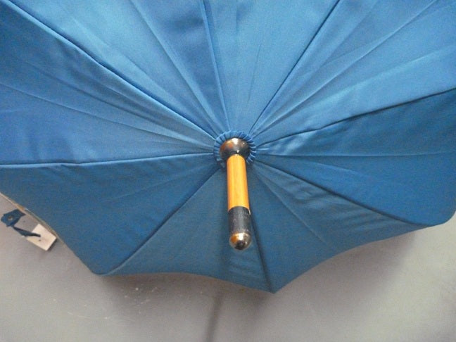 Soake Emily Smith Art Walking Stick Umbrella Thomas the Turtle