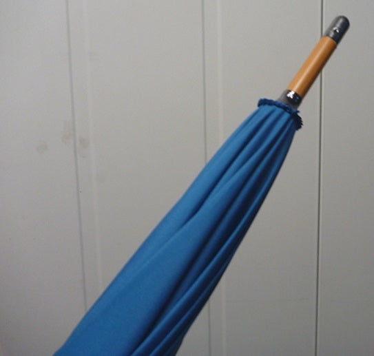 Soake Emily Smith Art Walking Stick Umbrella Thomas the Turtle